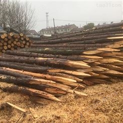 胜洁木业 驳岸杉木桩销售 驳岸杉木桩