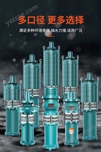 上海人民矿用泵多级双叶轮油浸泵380v三相灌溉高扬程大流量潜水泵