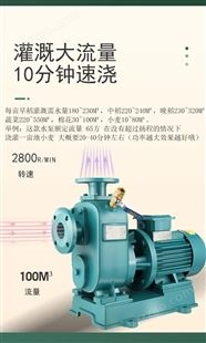 上海人民BZ自吸泵卧式离心管道泵380V农用灌溉管道增压泵喷灌抽水