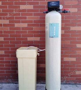 家用1吨软化水去离子设备软水除垢锅炉蒸汽发生器净水机自动润新