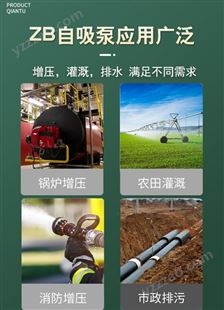 上海人民BZ自吸泵卧式离心管道泵380V农用灌溉管道增压泵喷灌抽水