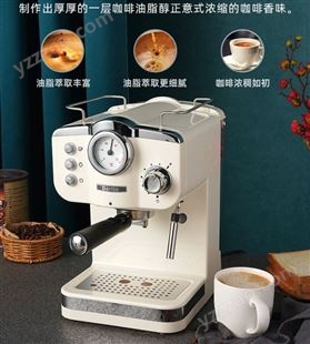 Derlla全半自动意式浓缩咖啡机家用小型奶泡机一体迷你复古