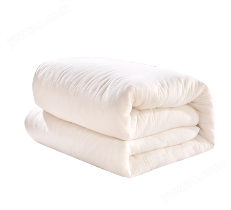 幼儿园床上用品排名简约舒适学生被子5斤棉胎铺盖定制