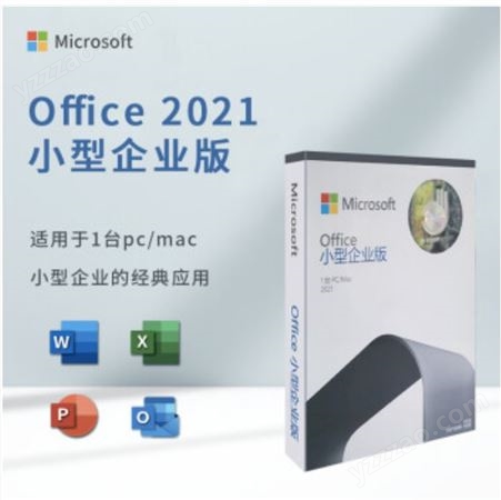 Office 小型企业版 2016/2019/2021/2013/2010office办公软件