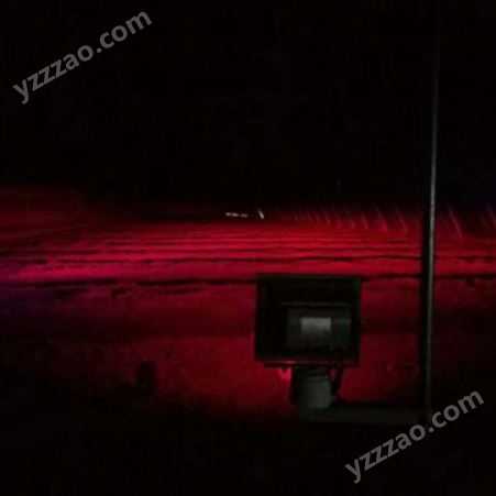 红皎阳草莓补光灯 生长灯 M101早上市时间15天 一亩地只须一个灯 安装简单