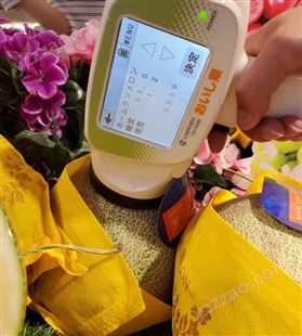 日本进口oishika千代田水果糖度计CD-H200用于水果甜度检测