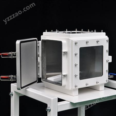 定做真空箱不锈钢负压带可视窗实验室真空压力箱空气隔离箱