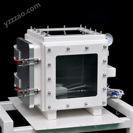 定做真空箱不锈钢负压带可视窗实验室真空压力箱空气隔离箱