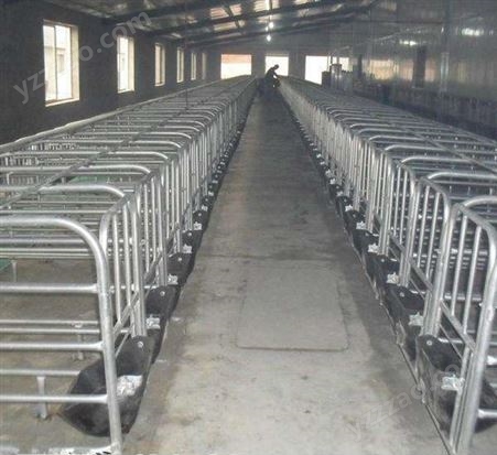 腾飞机械 养猪设备 定位限位栏 保育床限位栏