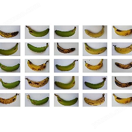 农产品蔬菜水果苹果香蕉外观分级残次品分选设备