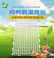 出售鸡鸭鹅通用塑料漏粪板 家禽塑料网床 小孔育雏用漏粪板