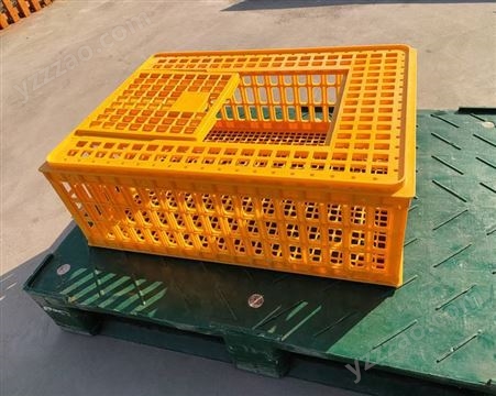 加厚加大塑料运输笼 鸡鸭鹅鸽子周转箱 成禽转运筐 兔子笼