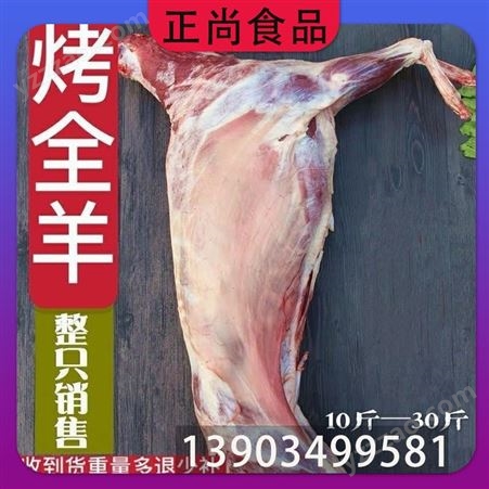 正尚食品 整只羊做法 满肉带骨 去皮原切 烧烤食材 新鲜