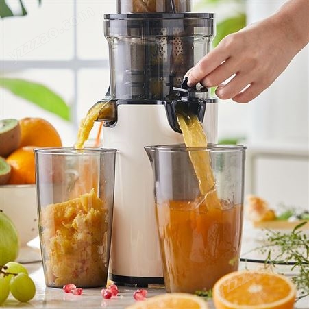 原汁机渣汁分离小型慢榨家用迷你纯果榨汁机