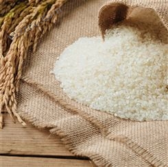 启旺高价回收过期大米大量生虫稻花香大米收购