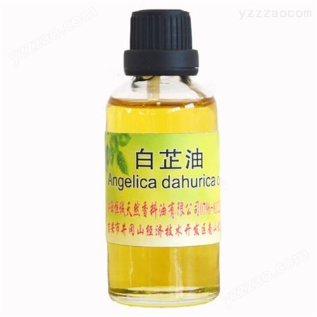供应白芷油 植物精油 香料油 Angelica dahurica oil